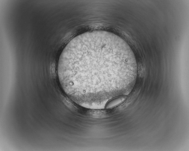 X0000112810670200909181551