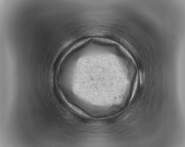 X0000112810675200909181551