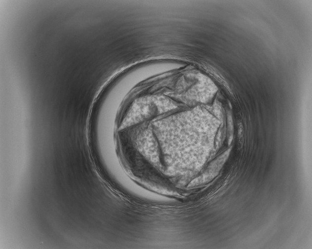X0000112810676200909181551