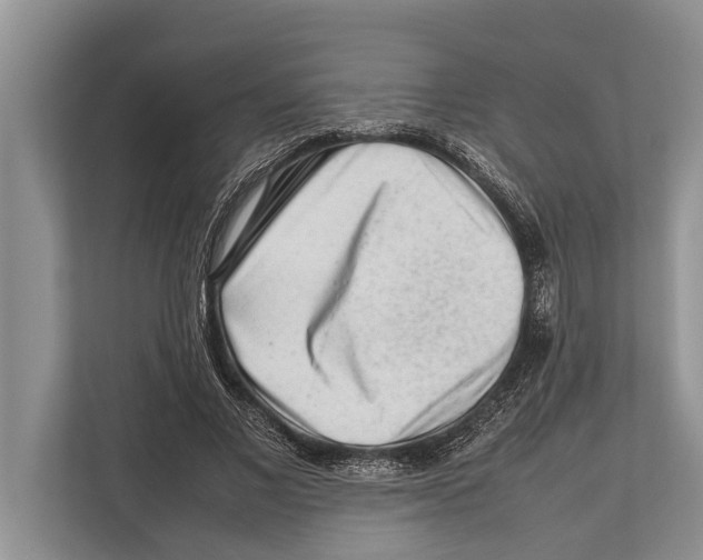 X0000112810685200909181550