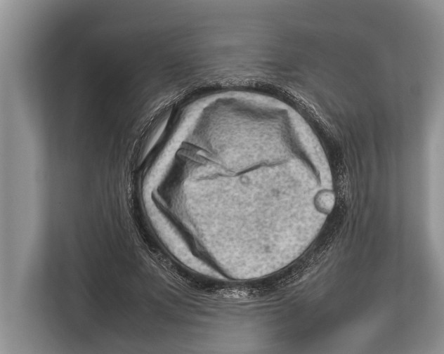 X0000112810687200909181550