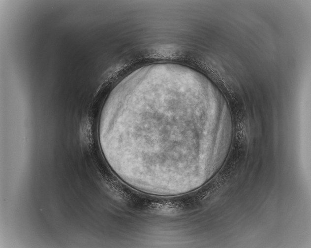 X0000112810688200909181550