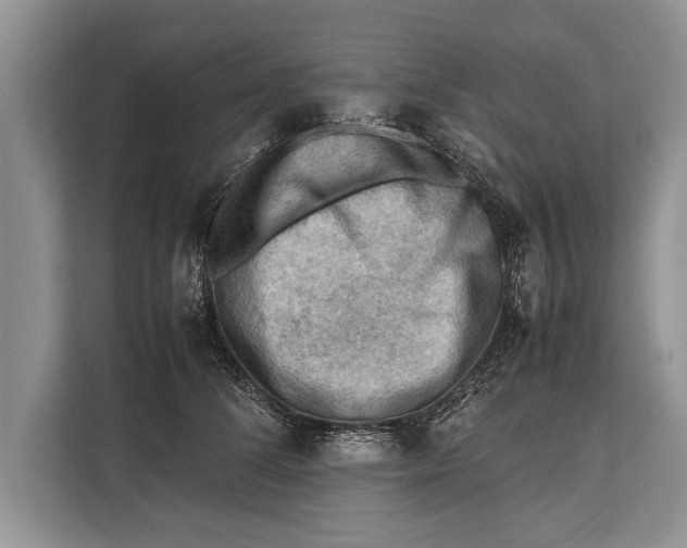 X0000112810708200909181550