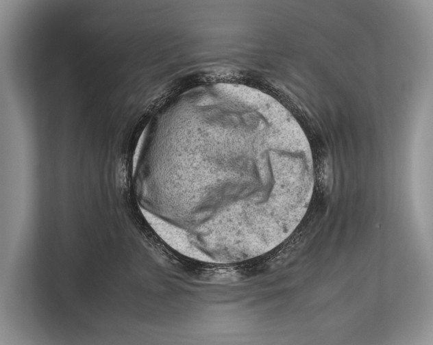 X0000112810715200909181550