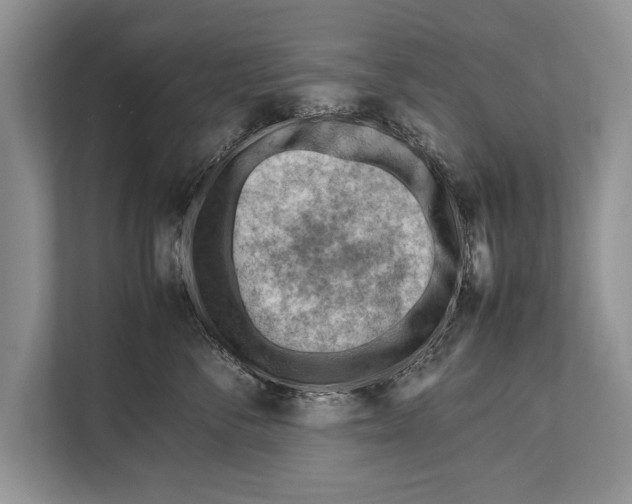 X0000112810716200909181550