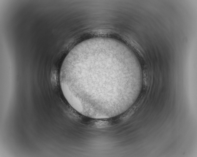 X0000112810718200909181550