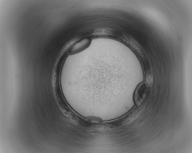 X0000112810724200909181549