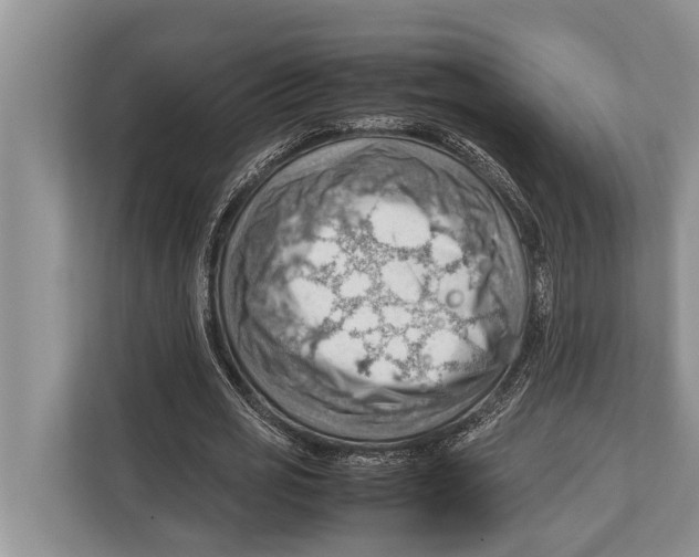 X0000112810725200909181549