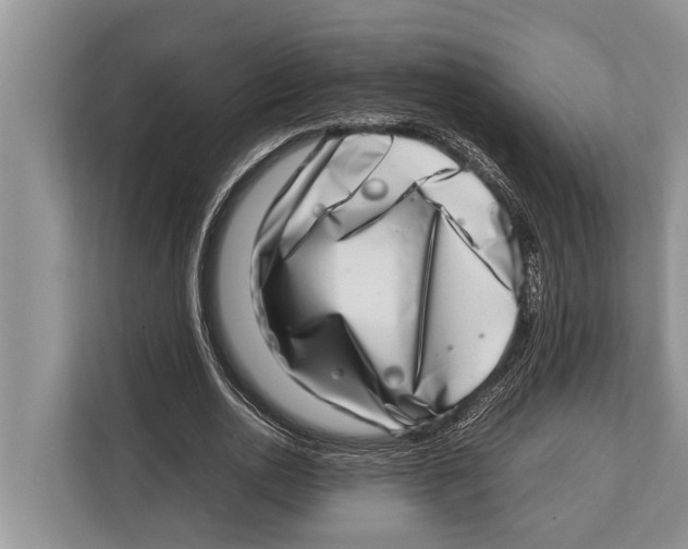 X0000112810726200909181549