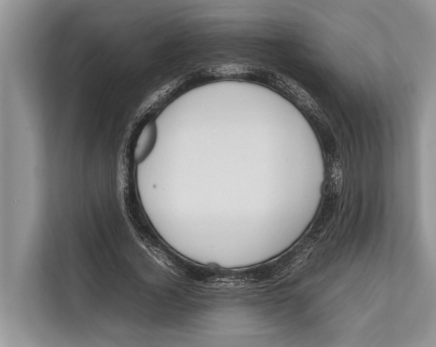 X0000112810732200909181550