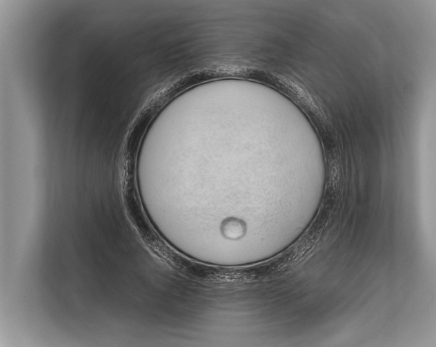 X0000112810736200909181550