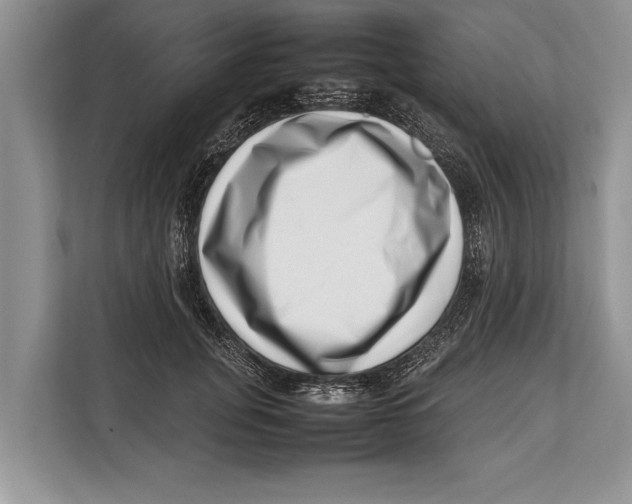 X0000112810751200909181550