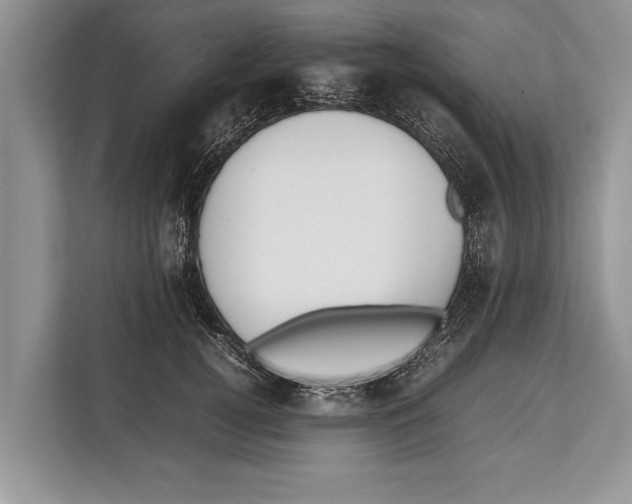 X0000112810752200909181550