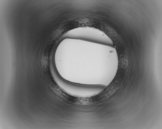 X0000112810756200909181550