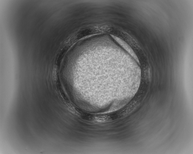X0000112810757200909181550