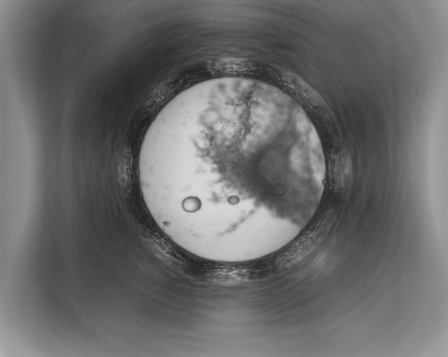 X0000112810760200909181550