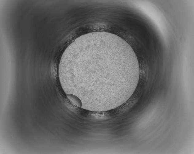 X0000112810767200909181550