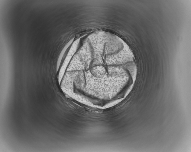 X0000112810768200909181550