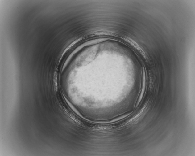 X0000112810782200909181549