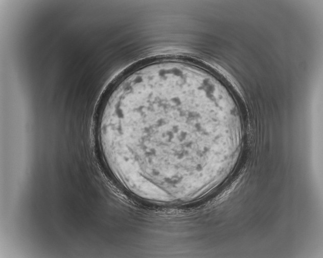 X0000112810783200909181549