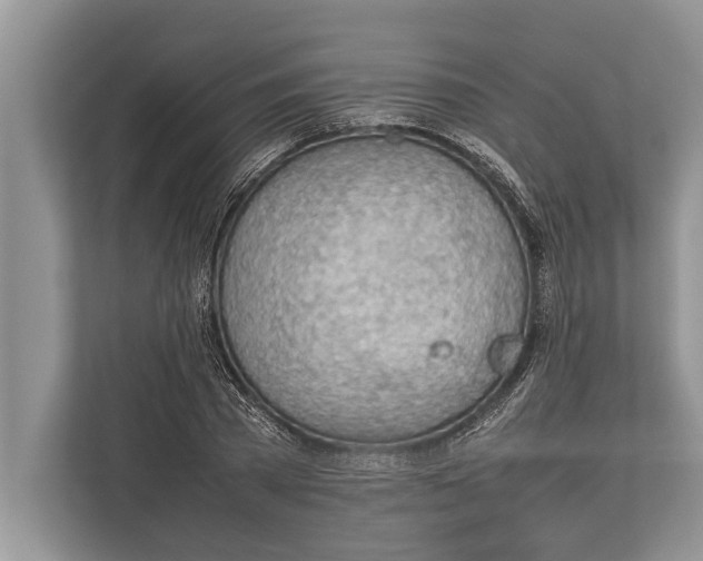 X0000112810785200909181549