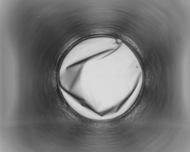 X0000112810786200909181549