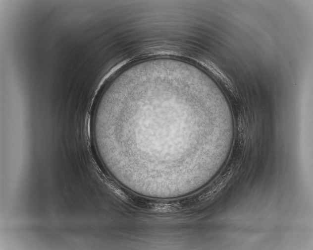 X0000112810790200909181549