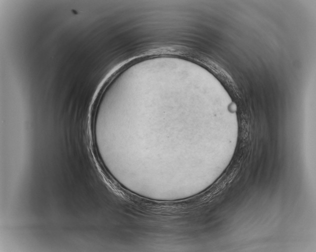 X0000112810792200909181549