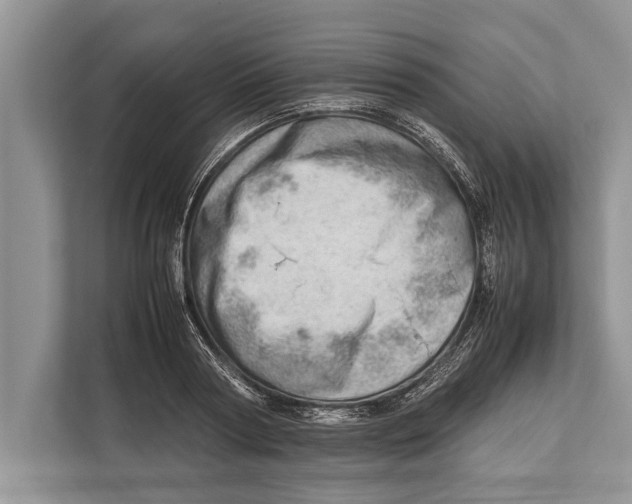 X0000112810794200909181549