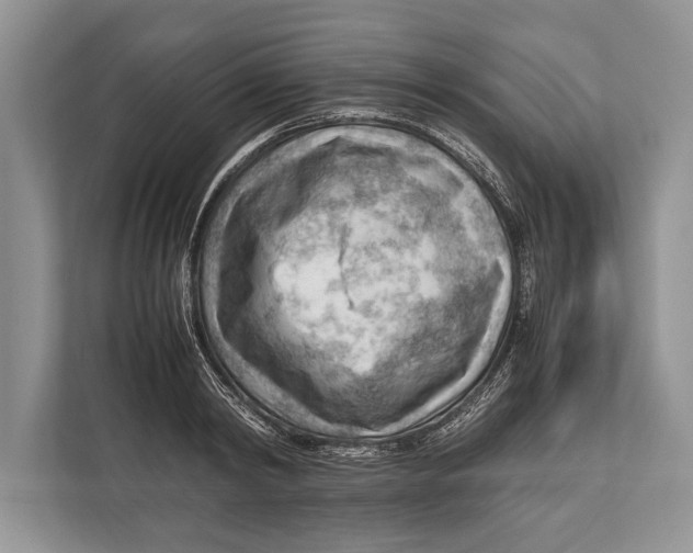 X0000112810798200909181549
