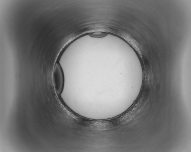 X0000112810805200909181549