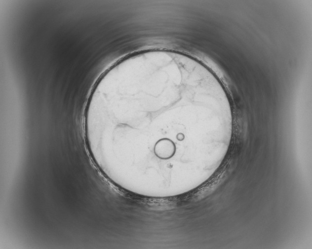 X0000112810807200909181549