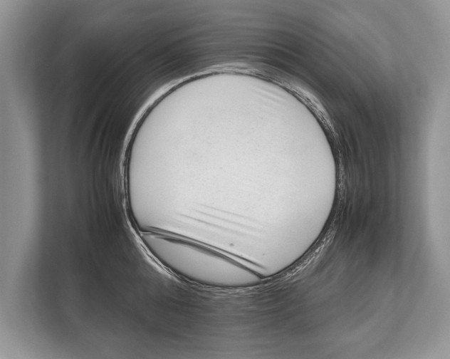 X0000112810808200909181549