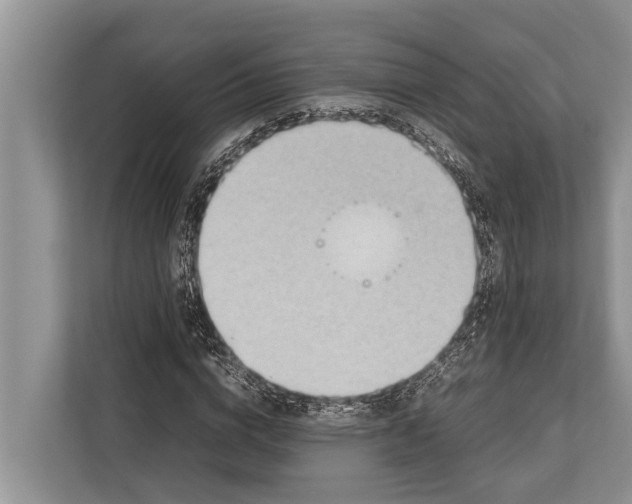 X0000112810824200909181548