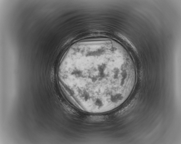 X0000112810825200909181548