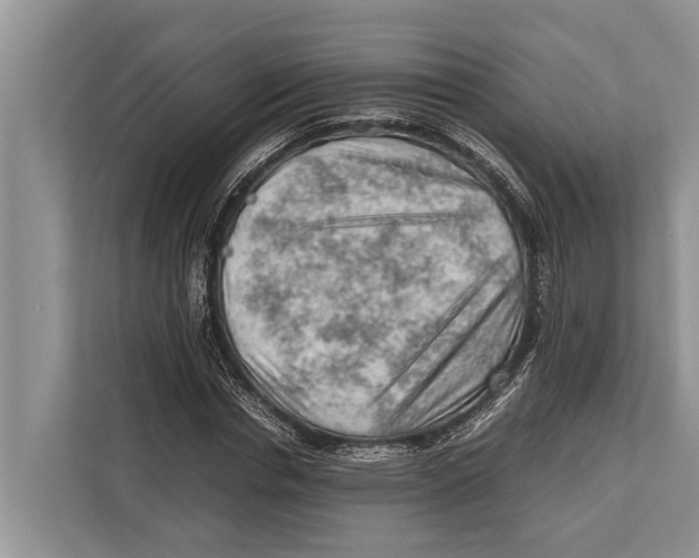 X0000112810826200909181548