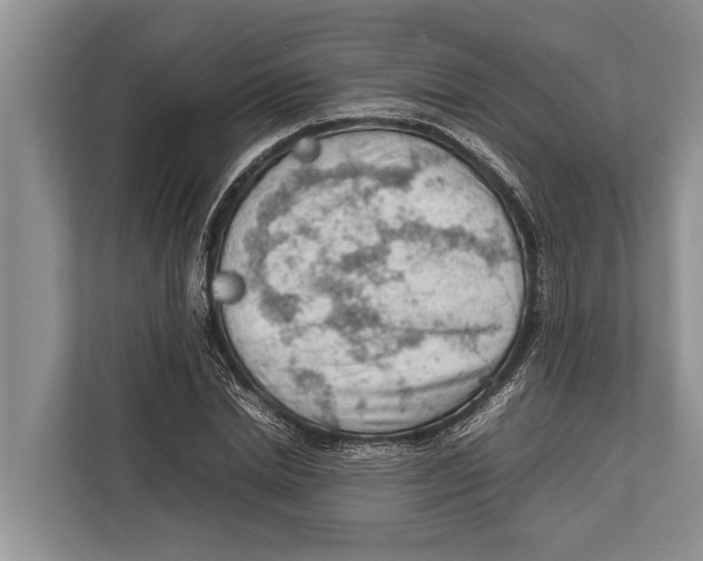 X0000112810830200909181548