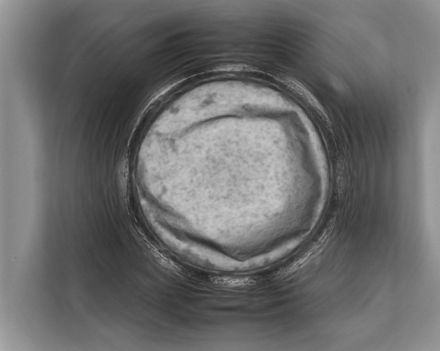 X0000112810831200909181548