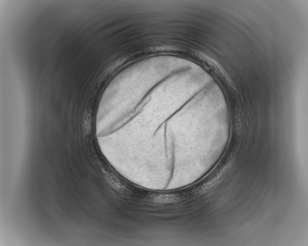 X0000112810833200909181548