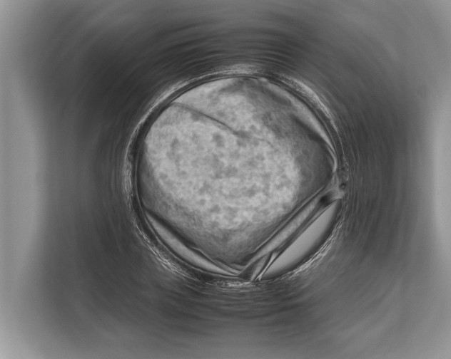 X0000112810835200909181548