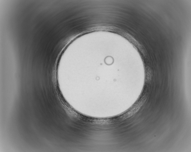 X0000112810836200909181548