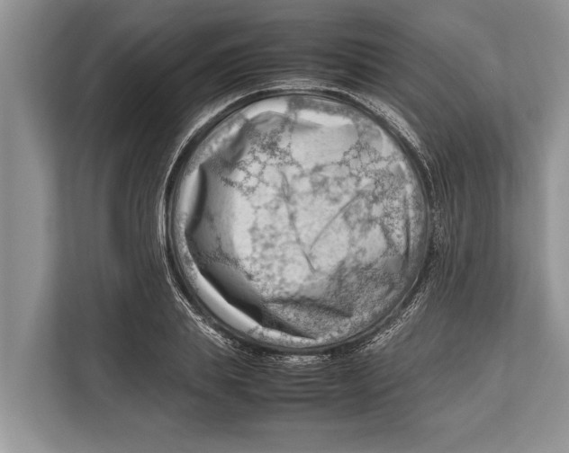 X0000112810839200909181548