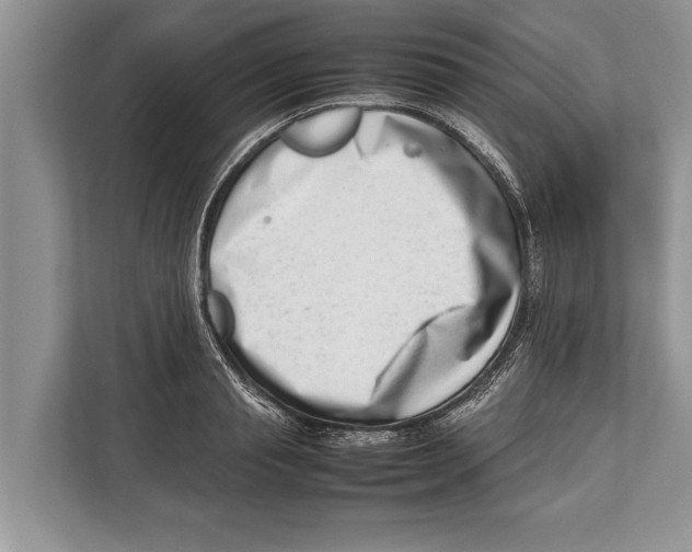 X0000112810845200909181548
