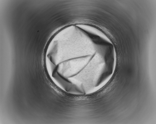 X0000112810846200909181548