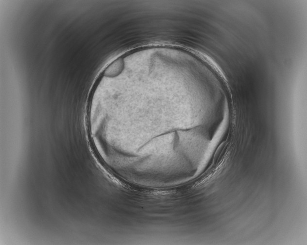 X0000112810847200909181549