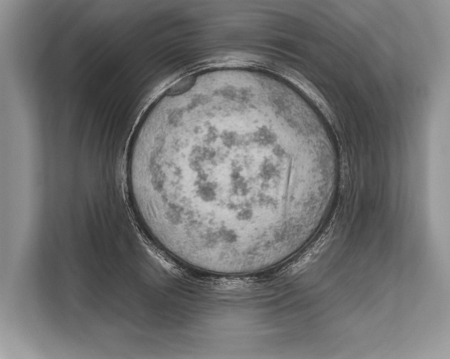X0000112810850200909181549
