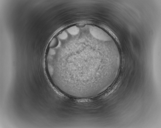 X0000112810853200909181549