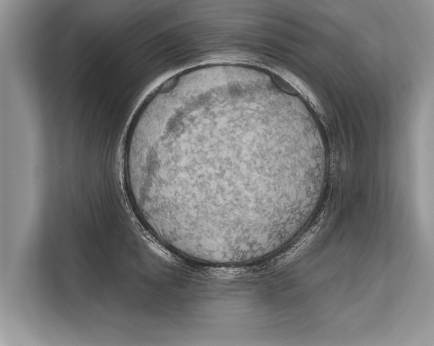 X0000112810854200909181549