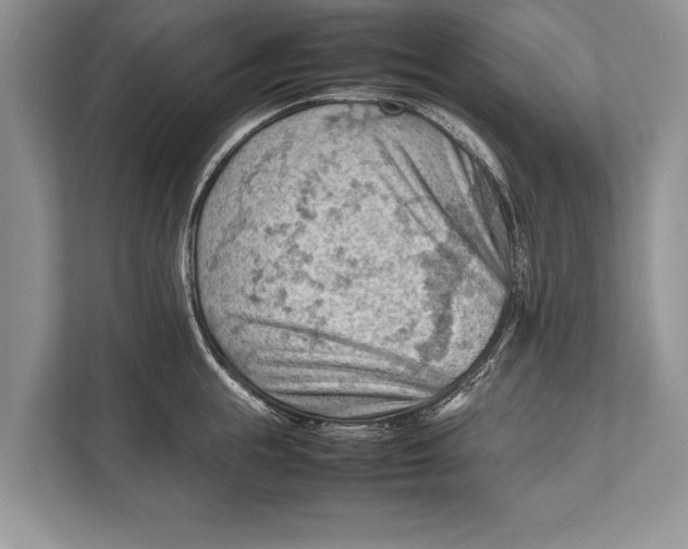 X0000112810855200909181549