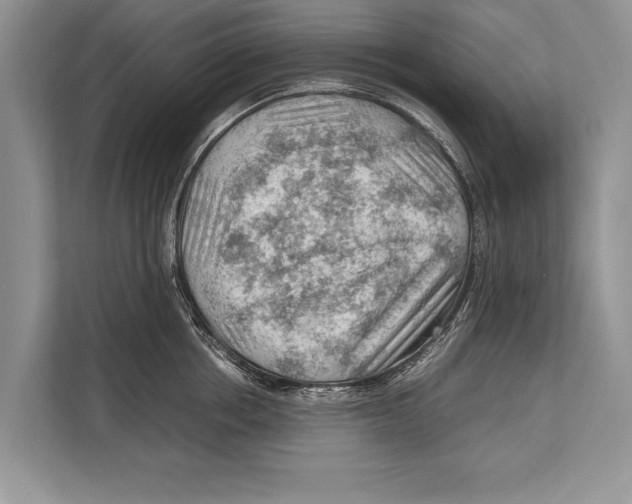 X0000112810858200909181549
